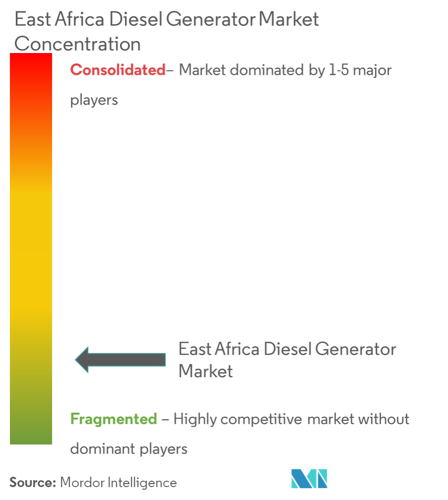 Thailand Solar Energy Market - Market Concentration